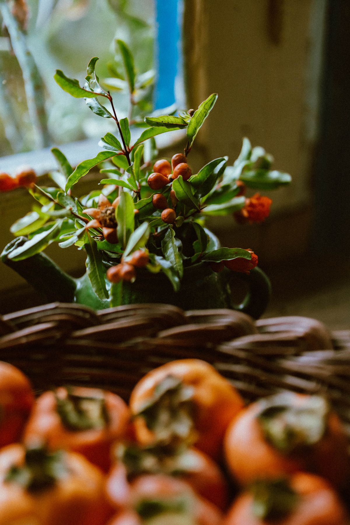 Building a Natural Gift Basket: A Simple Step-by-Step Idea